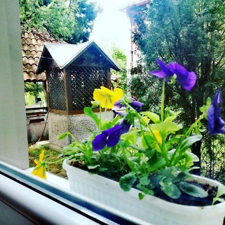 Maslina Rooms Смедерево Экстерьер фото