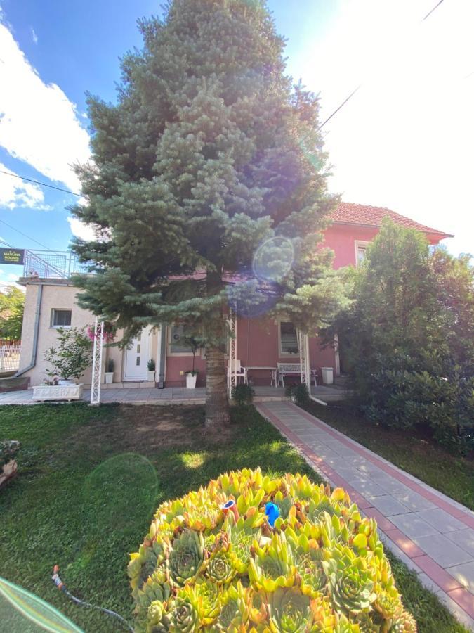 Maslina Rooms Смедерево Экстерьер фото