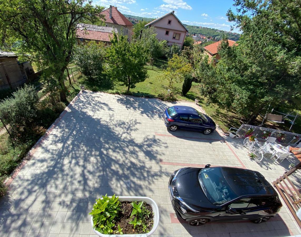 Maslina Rooms Смедерево Экстерьер фото