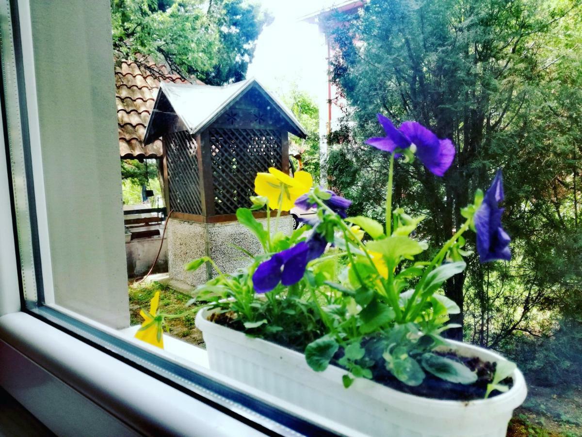 Maslina Rooms Смедерево Экстерьер фото